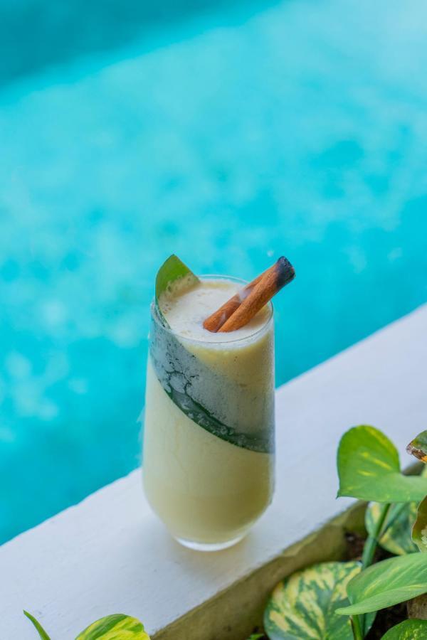 Suitree Experience Hotel Sardinal