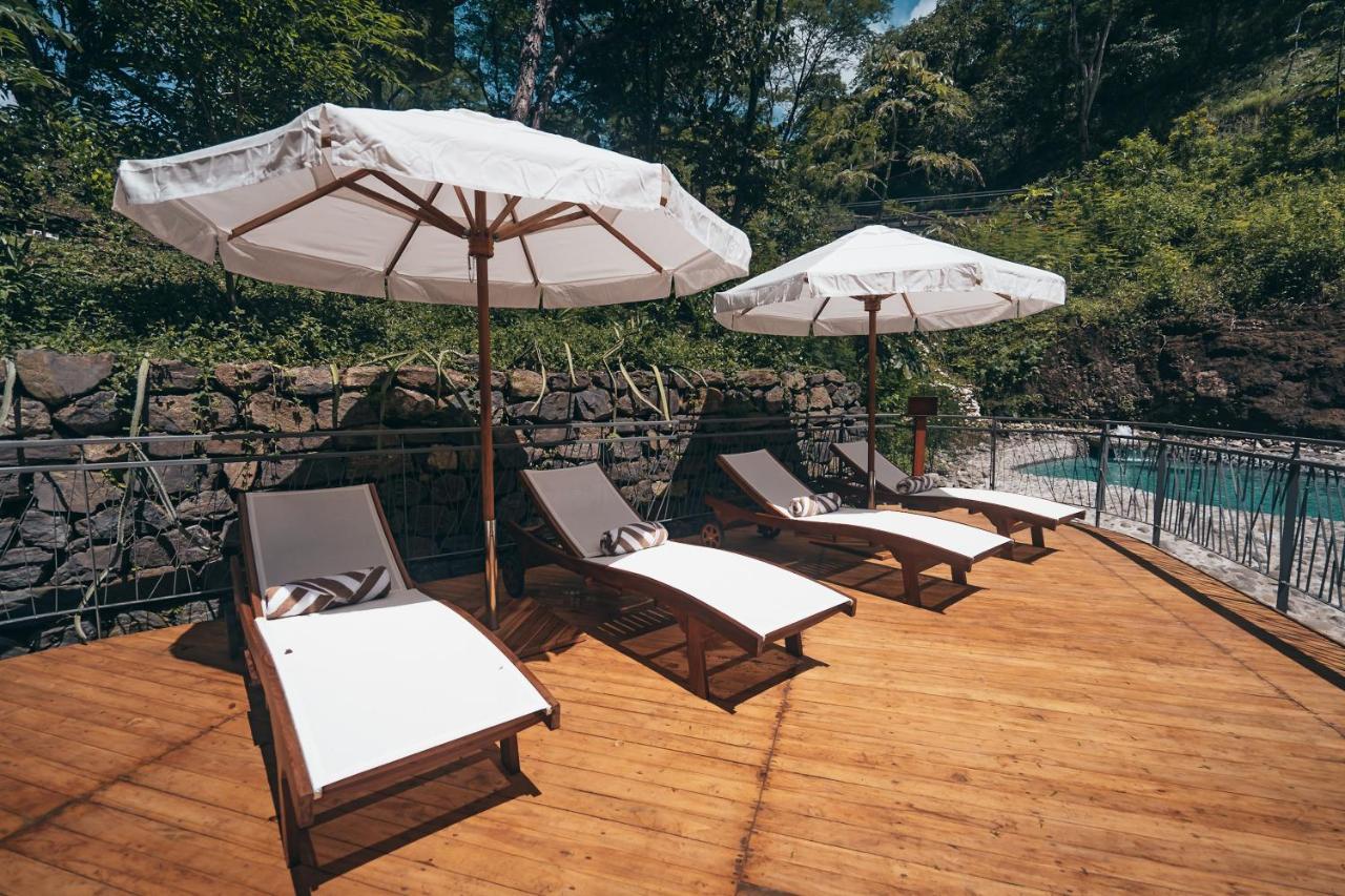 Suitree Experience Hotel