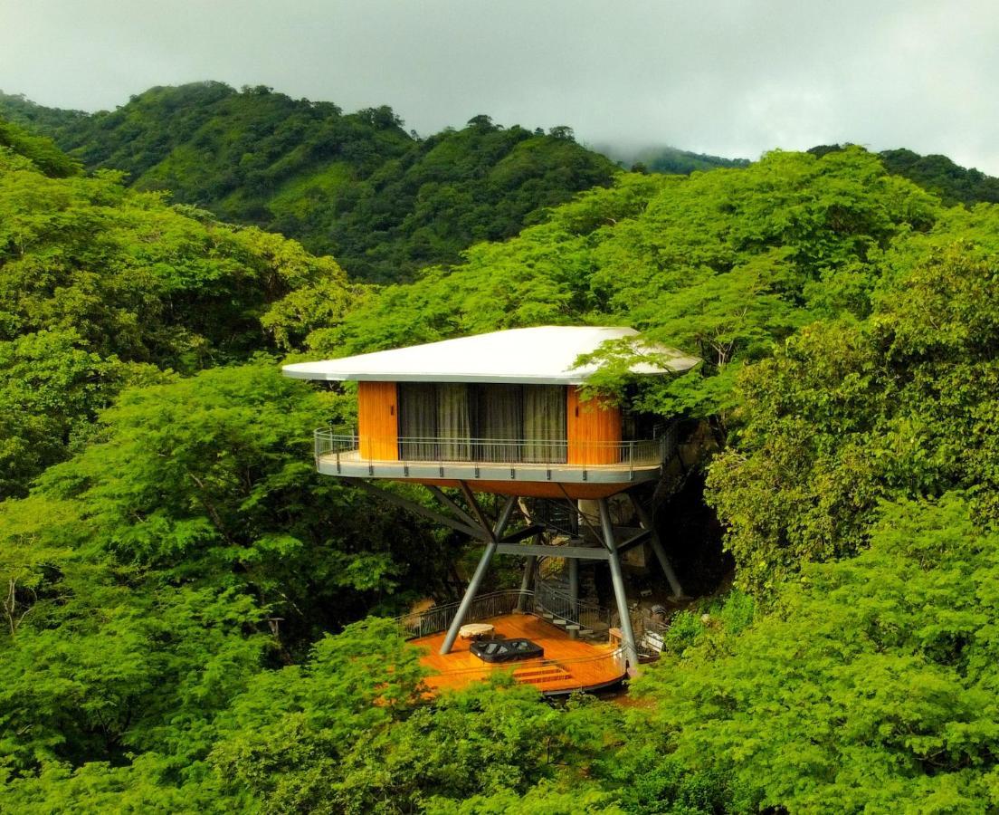 Hotel Suitree Experience
