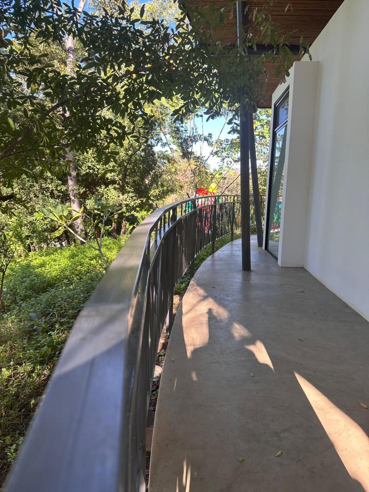 Hotel Suitree Experience