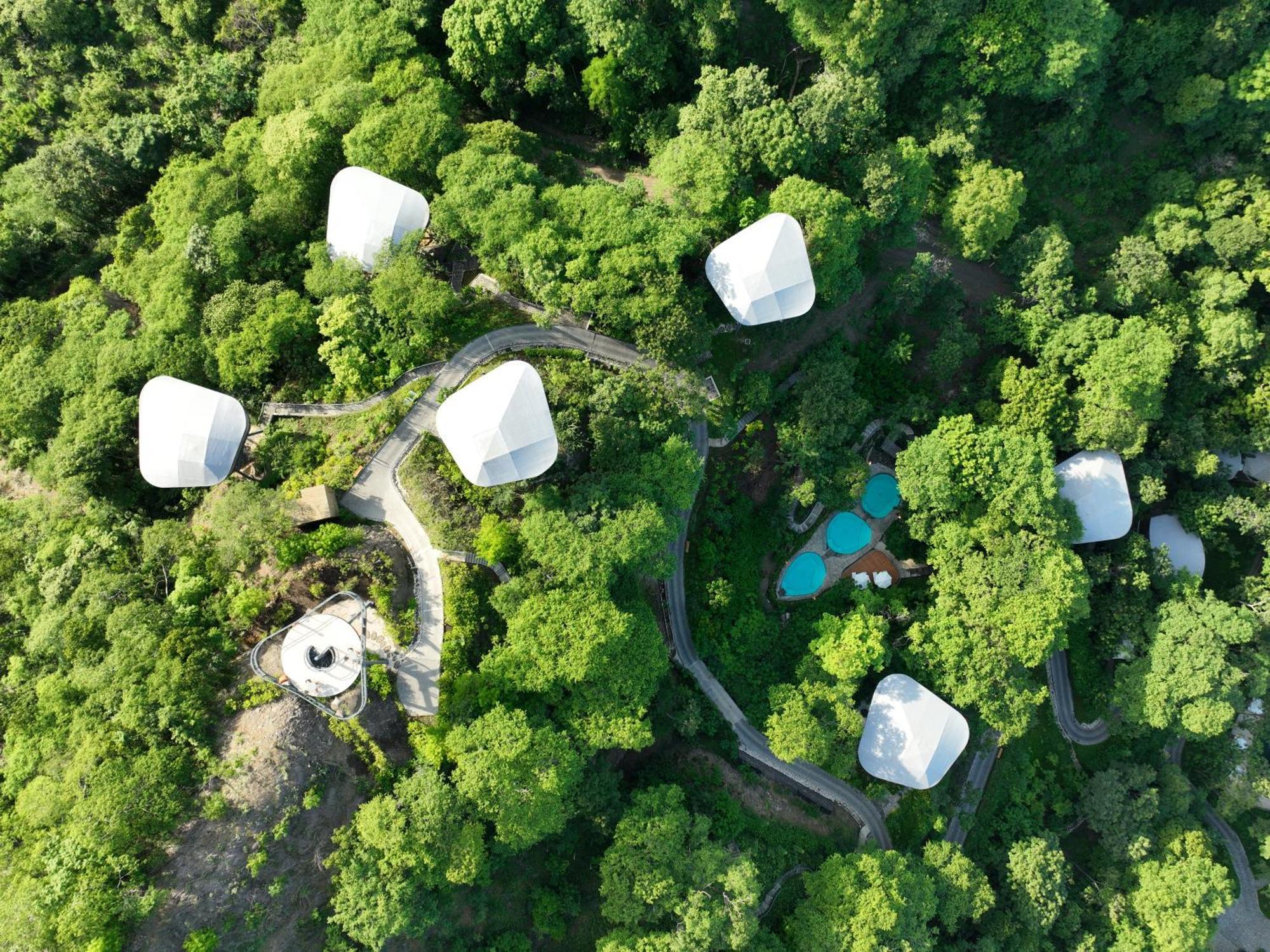 Hotel Suitree Experience 4*