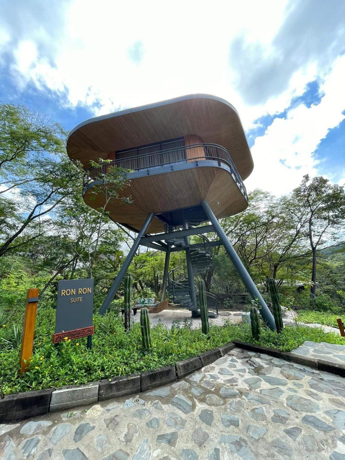 Hotel Suitree Experience
