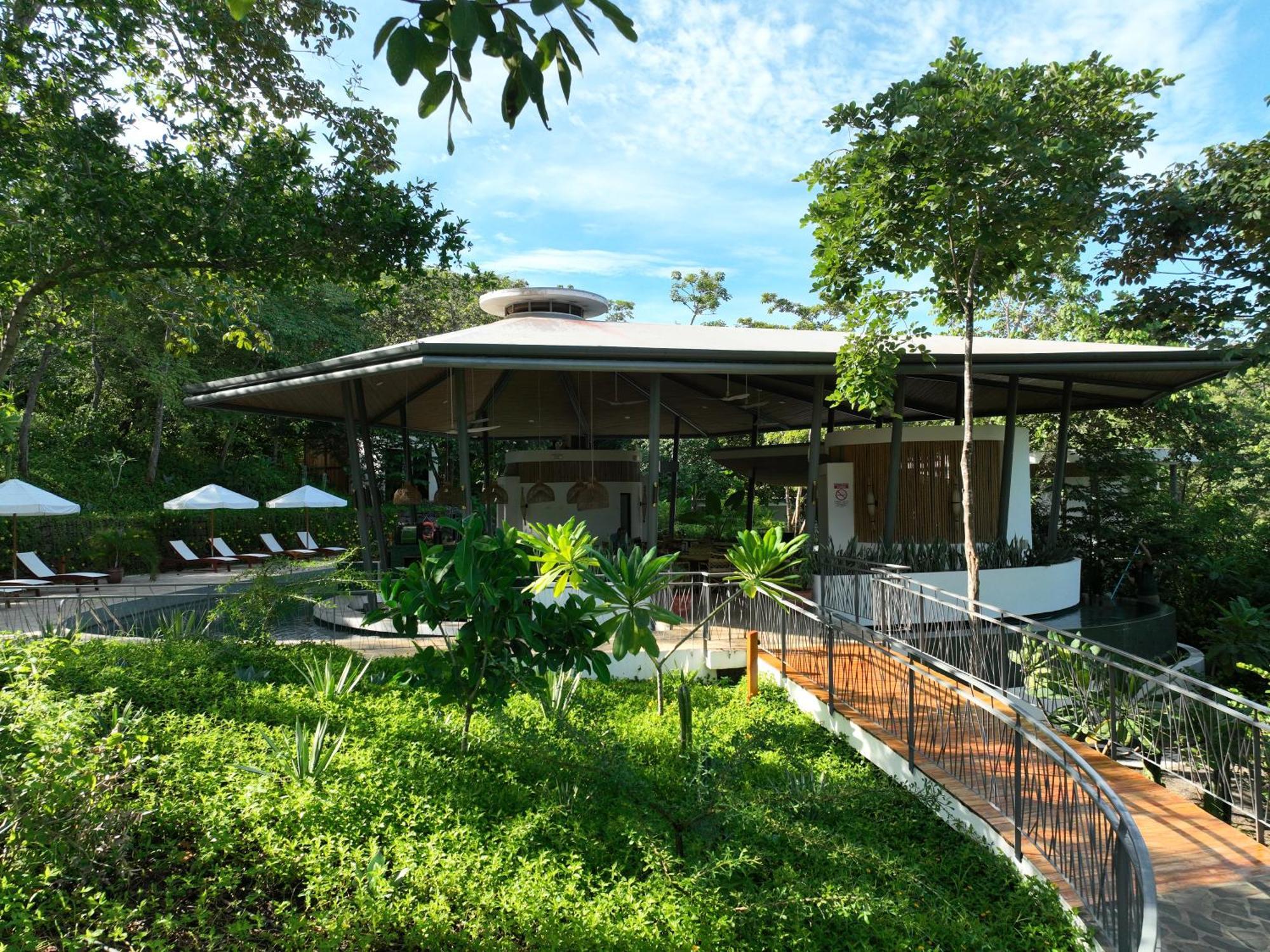 Suitree Experience Hotel
